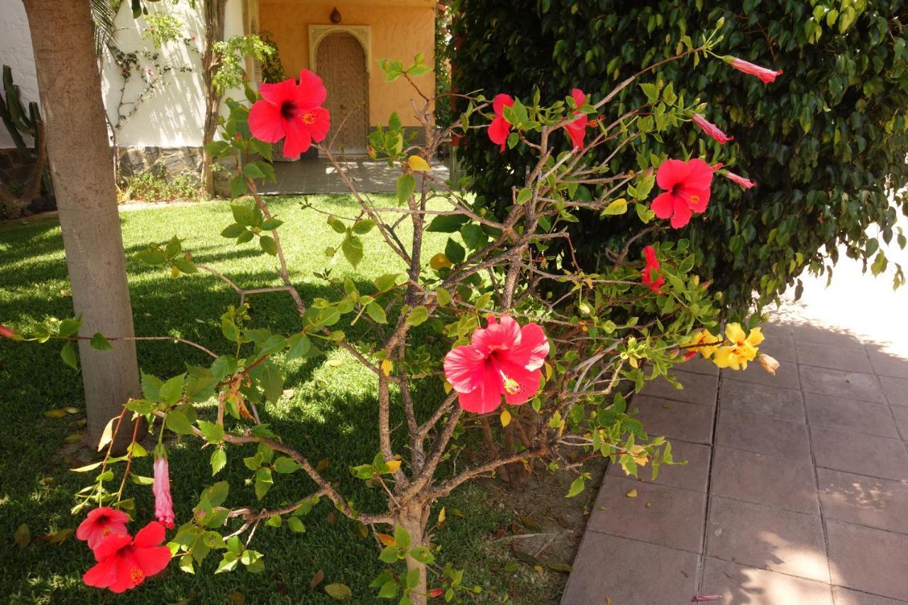 Vera Playa Spain - La Menara Naturist Complex - Eagles Nest - Penthouse Zewnętrze zdjęcie